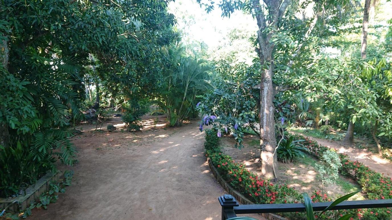 Leopard City Hostel Yala Tissamaharama Bagian luar foto